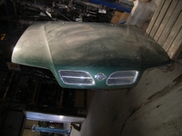 Motorhaube aus Nissan PRIMERA (P11) Motorhaube aus Nissan PRIMERA (P11)